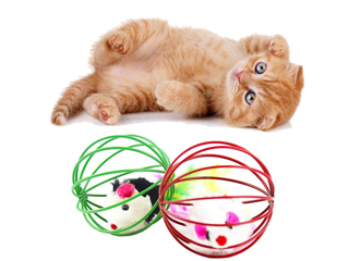 Kedi Aksesuarları